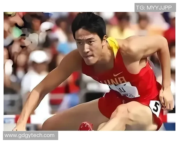 河南省体育明星排行榜揭晓前十名运动员风采与成就分析